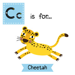 C letter tracing. Jumping Cheetah. Cute children zoo alphabet flash card. Funny cartoon animal. Kids abc education. Learning English vocabulary. Vector illustration.