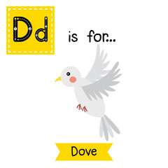 D letter tracing. Flying Dove bird. Cute children zoo alphabet flash card. Funny cartoon animal. Kids abc education. Learning English vocabulary. Vector illustration.