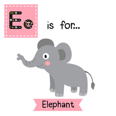 E letter tracing. Standing Elephant. Cute children zoo alphabet flash card. Funny cartoon animal. Kids abc education. Learning English vocabulary. Vector illustration.