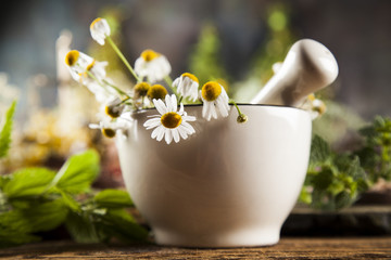 Alternative medicine, dried herbs and mortar on wooden desk back