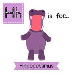 H letter tracing. Hippopotamus opening mouth. Cute children zoo alphabet flash card. Funny cartoon animal. Kids abc education. Learning English vocabulary. Vector illustration.