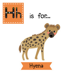 H letter tracing. Hyena. Cute children zoo alphabet flash card. Funny cartoon animal. Kids abc education. Learning English vocabulary. Vector illustration.