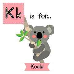 K letter tracing. Koala bear climbing tree. Cute children zoo alphabet flash card. Funny cartoon animal. Kids abc education. Learning English vocabulary. Vector illustration.