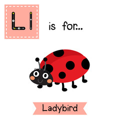 L letter tracing. Ladybird. Cute children zoo alphabet flash card. Ladybird. Funny cartoon animal. Kids abc education. Learning English vocabulary. Vector illustration.