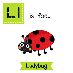 Fototapeta premium L letter tracing. Ladybug. Cute children zoo alphabet flash card. Funny cartoon animal. Kids abc education. Learning English vocabulary. Vector illustration.