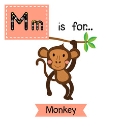 M letter tracing. Monkey. Cute children zoo alphabet flash card. Funny cartoon animal. Kids abc education. Learning English vocabulary. Vector illustration.