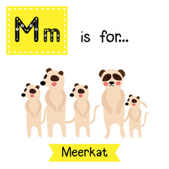 M letter tracing. Standing Meerkat family group. Cute children zoo alphabet flash card. Funny cartoon animal. Kids abc education. Learning English vocabulary. Vector illustration.