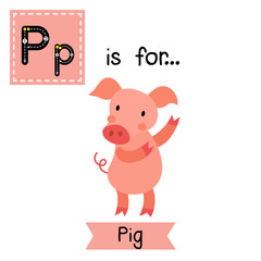 P letter tracing. Dancing Pig. Cute children zoo alphabet flash card. Funny cartoon animal. Kids abc education. Learning English vocabulary. Vector illustration.