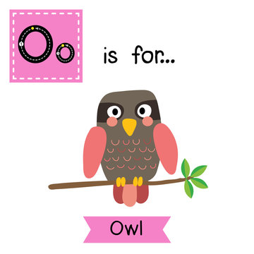O letter tracing. Pink Owl bird perched on the branch with leaves. Cute children zoo alphabet flash card. Funny cartoon animal. Kids abc education. Learning English vocabulary. Vector illustration.