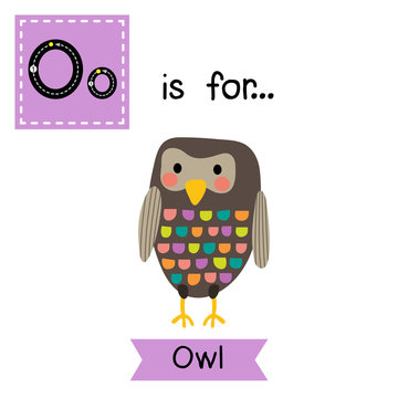 O letter tracing. Standing colorful Owl bird. Cute children zoo alphabet flash card. Funny cartoon animal. Kids abc education. Learning English vocabulary. Vector illustration.