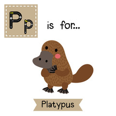 P letter tracing. Standing Platypus. Cute children zoo alphabet flash card. Funny cartoon animal. Kids abc education. Learning English vocabulary. Vector illustration.