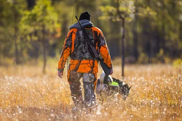 Swedish Moosehound in the fall hunting season