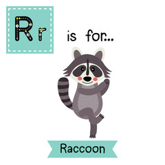 R letter tracing. Dancing Raccoon. Cute children zoo alphabet flash card. Funny cartoon animal. Kids abc education. Learning English vocabulary. Vector illustration.