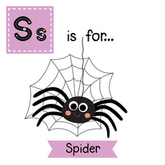 S letter tracing. Black Spider with spider web. Cute children zoo alphabet flash card. Funny cartoon animal. Kids abc education. Learning English vocabulary. Vector illustration.