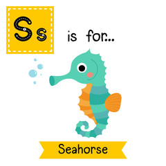 S letter tracing. Cute Seahorse. Cute children zoo alphabet flash card. Funny cartoon animal. Kids abc education. Learning English vocabulary. Vector illustration.