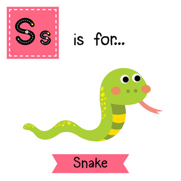 S letter tracing. Green Snake. Cute children zoo alphabet flash card. Funny cartoon animal. Kids abc education. Learning English vocabulary. Vector illustration.