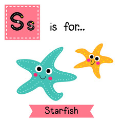 S letter tracing. Smiling Starfish. Cute children zoo alphabet flash card. Funny cartoon animal. Kids abc education. Learning English vocabulary. Vector illustration.