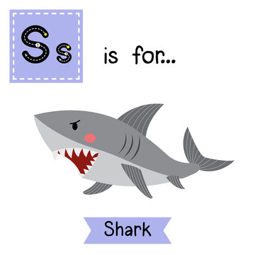 S letter tracing. Shark. Cute children zoo alphabet flash card. Funny cartoon animal. Kids abc education. Learning English vocabulary. Vector illustration.