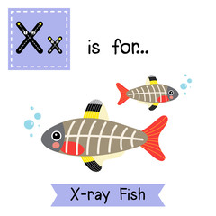X letter tracing. X-ray Fish. Cute children zoo alphabet flash card. Funny cartoon animal. Kids abc education. Learning English vocabulary. Vector illustration.