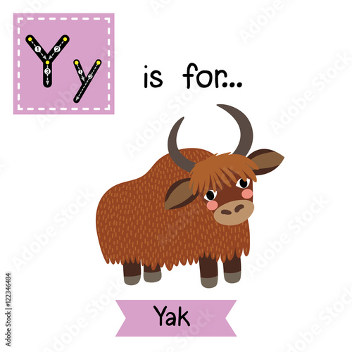 Y Letter Tracing Yak Cute Children Zoo Alphabet Flash Card Funny Y Letter Tracing Yak Cute Children Zoo Alphabet Flash Card Funny Cartoon Animal Kids Abc Education Learning English Vocabulary Vector Ilration
