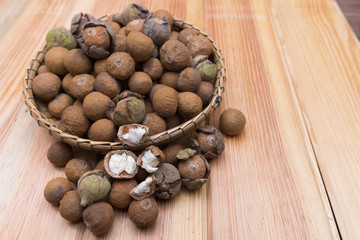 Castanopsis piriformis Hickel & A. Camus, Thai herb