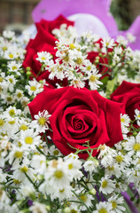 Rose bouquet with White flower