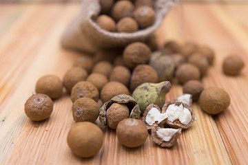 Castanopsis piriformis Hickel & A. Camus, Thai herb