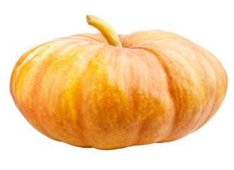 Halloween Pumpkin Isolated