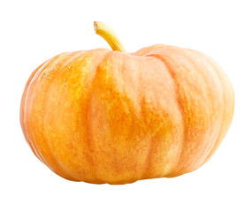 Halloween Pumpkin Isolated