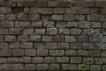 Кирпичная Стена
