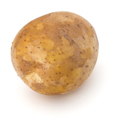 new potato tuber isolated on white background cutout
