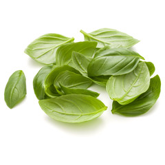 Sweet basil herb leaves handful isolated on white background clo