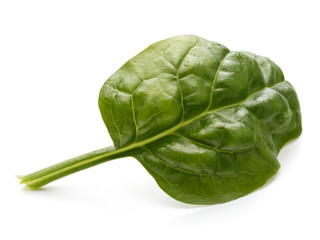 Baby spinach leaves isolated on white background cutout