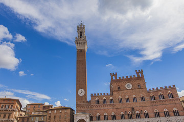 Fototapeta premium Piazza del Campo in Siena