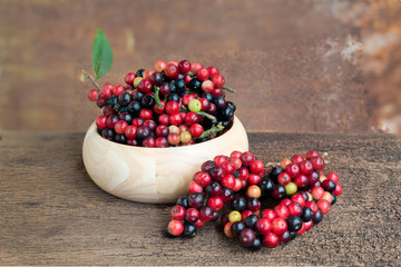 Closeup fresh Mak Mao or Thai Blueberry, local fruit in northeas