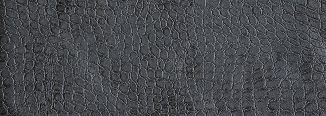 black leather, car leather and furniture, texture and pattern of the skin