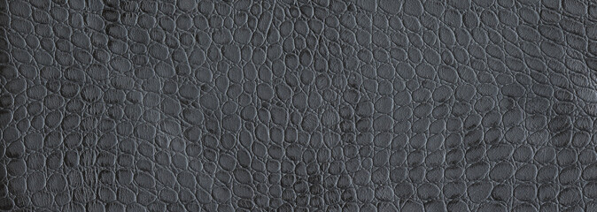 black leather, car leather and furniture, texture and pattern of the skin