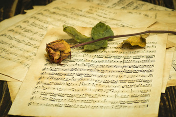 Music sheets and a withered rose