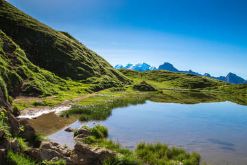 Fototapeta na wymiar Montagne