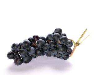 Dark grapes, isolated on white