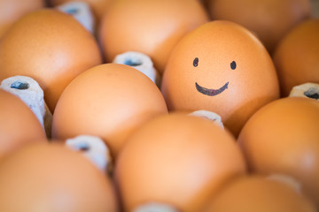 smile egg in the package, happy concept