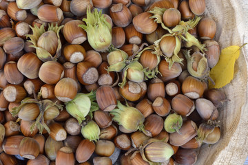 Close up of A wooden bowl with a lot of hazel chest nuts on a wooden background
