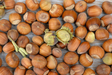 Close up of a lot of hazel chest nuts on a wooden background
