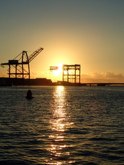 Obraz premium Sunset through Hoisting cranes at container cargo terminals