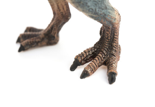 feet of spinosaurus toy on white background