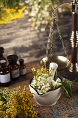 Herbs, berries and flowers with mortar, on wooden table backgrou