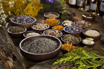 Fresh medicinal, healing herbs on wooden