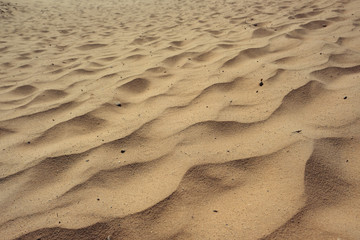 Sandy background at dunes