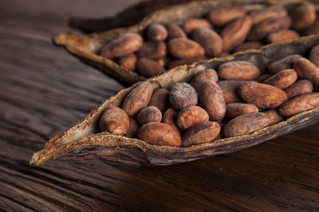 Cocoa pod on wooden background