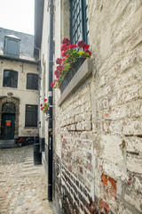 White brick wall with red flowers